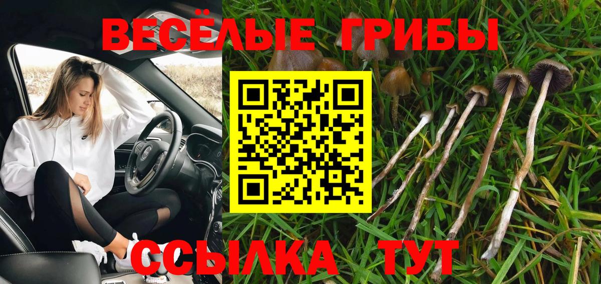 Галлюциногенные грибы мицелий Похвистнево