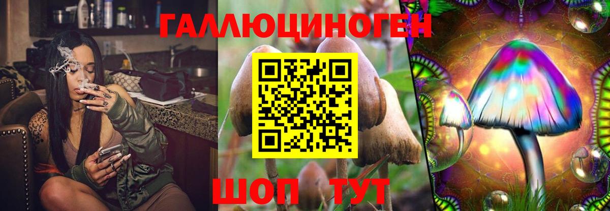 Похвистнево  Галлюциногенные грибы мухоморы  Вход с VPN 