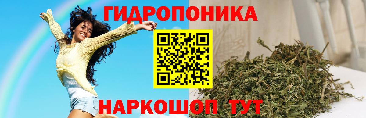 Похвистнево  Конопля MAZAR  Каннабис планчик  Вход с VPN 